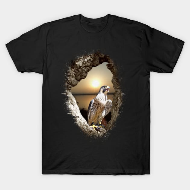 Peregrine Sunset T-Shirt by infloence